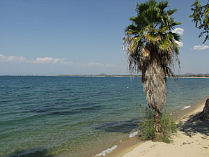 Nkudzi Lodge Beach